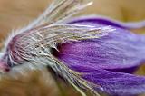 20080315_190224_38-e0-bibble