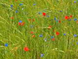 20040612_112937-e0b-Web