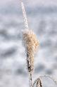 20090111_121417-e0_tonemapped