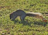 20051227_141957_24-e0