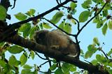 20050509_181932_53-e0-Web
