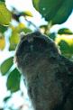 20050512_184436_78-e0-Web
