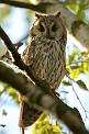 20080623_195316-e0b-Web