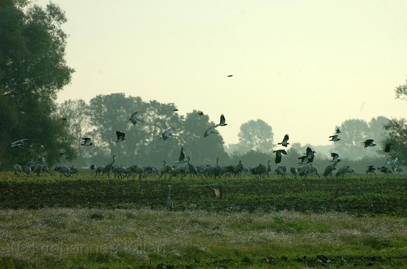 20070930_080013-e0.jpg