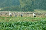 20070930_075107-e0