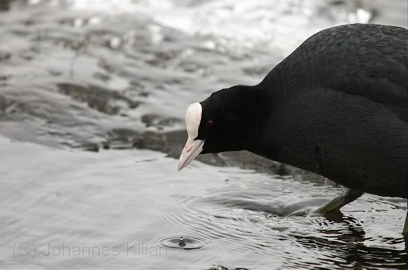 20100331_143423_07_v2.jpg