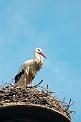 20050505_164206_67-e0-Web