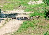 20070522_145122_20-e0-Web