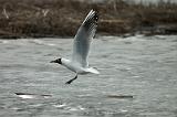 20100331_144302_v2