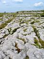 20040526_155732-e0b-Web