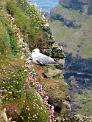 20040605_132621-e0b-Web