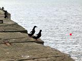 20040606_101353-e0b-Web