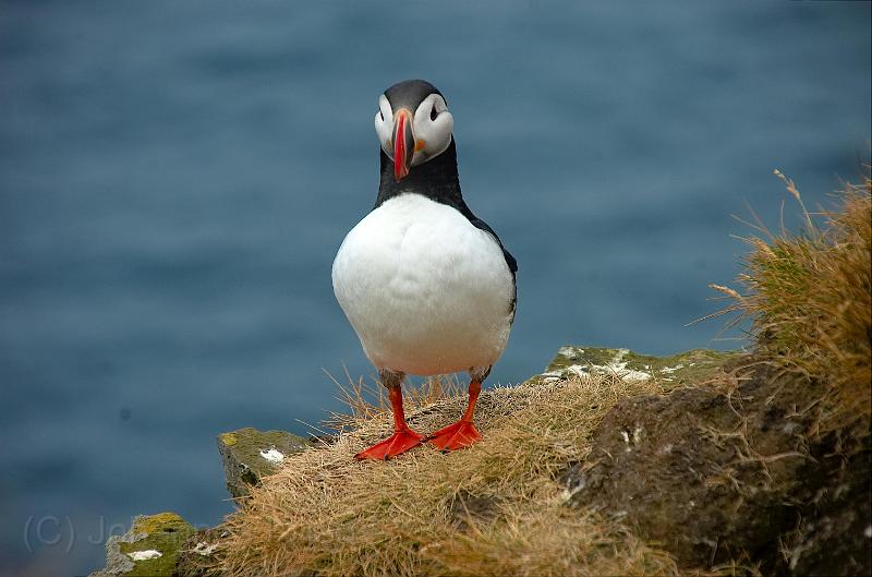 20100722_093226-e0-bibble.jpg