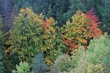 20051004_115549_64