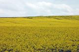 Landschaften